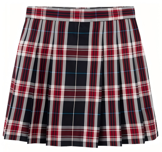 Campus Plaid Pleated Skirt